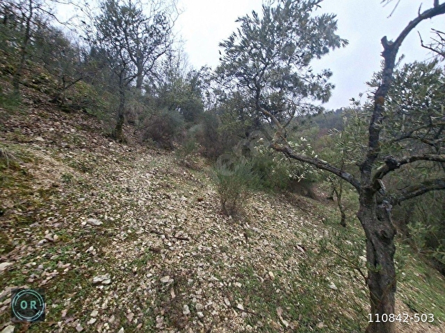 YAYLADAĞI ŞENKÖY MAH 7220 M2 ALANLI BAHÇE YATIRIMLIK ARAZİ - Görsel 13