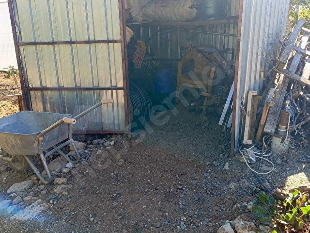 TAVAS/ÇALIKÖYDE 4,341 M2 CEVİZ BAHÇESİ VE EVİ SATILIKTIR - Görsel 13