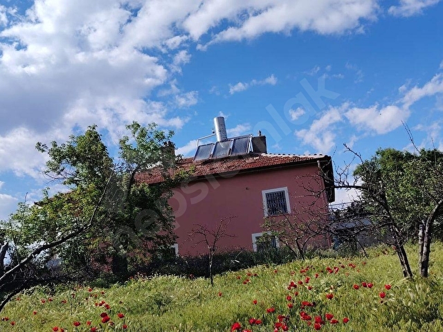 GÜNEYSINIR AVCITEPE KÖYÜNDE KELEPİR FIRSAT EV VE BAHÇELER 3 TAPU - Görsel 18