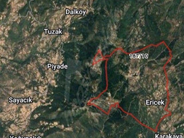 BALIKESİR DURSUNBEY ERİCEKDE BÜYÜK HESAPLI MÜSTAKİL BİR ARAZİM OLSUN DİYENLERE FIRSAT - Görsel 7