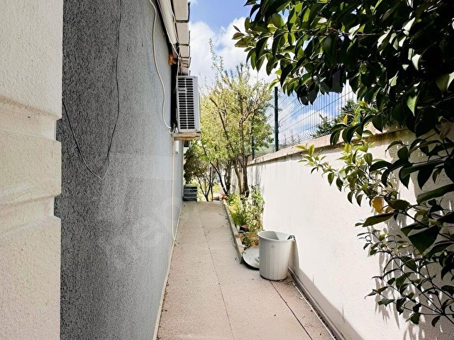 Türkgücü bağlar mekide doğal yaşam için - Görsel 12