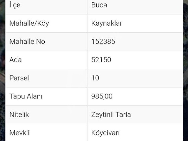 Kaynaklar villa projelerine yakın 985 m2 bahçe içinde 40 m2 ev - Görsel 11
