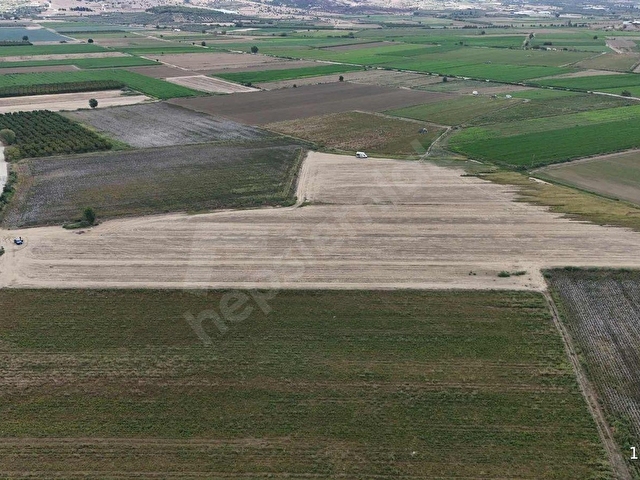 PEK EMLAKTAN 25,200m2 TEKTAPU ELEKTRİK SUYU OLAN SATILIK TARLA - Görsel 23