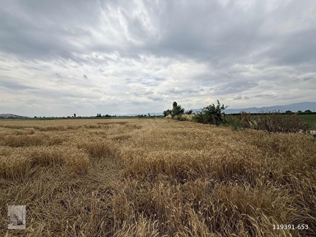 PEK EMLAKTAN 25,200m2 TEKTAPU ELEKTRİK SUYU OLAN SATILIK TARLA - Görsel 8