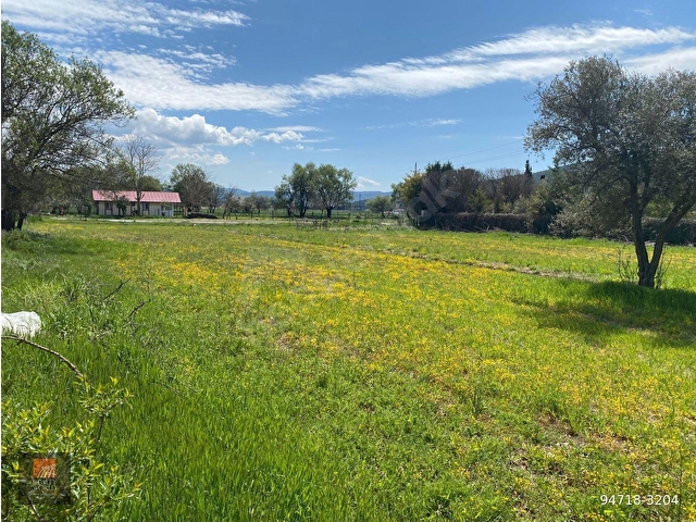 Muğla Menteşe Merkezde Kiralık 5000 m2 Tarla - Görsel 17