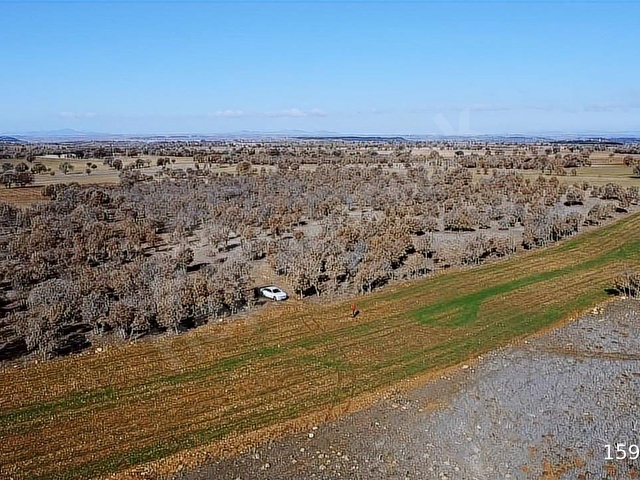 UŞAK SİVASLI TATAR DA 9200 M2 ARAZİ YATIRIM VE YAŞAM İÇİN FIRSAT - Görsel 2