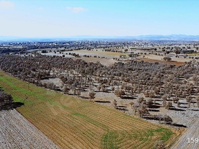 UŞAK SİVASLI TATAR DA 9200 M2 ARAZİ YATIRIM VE YAŞAM İÇİN FIRSAT - Görsel 3