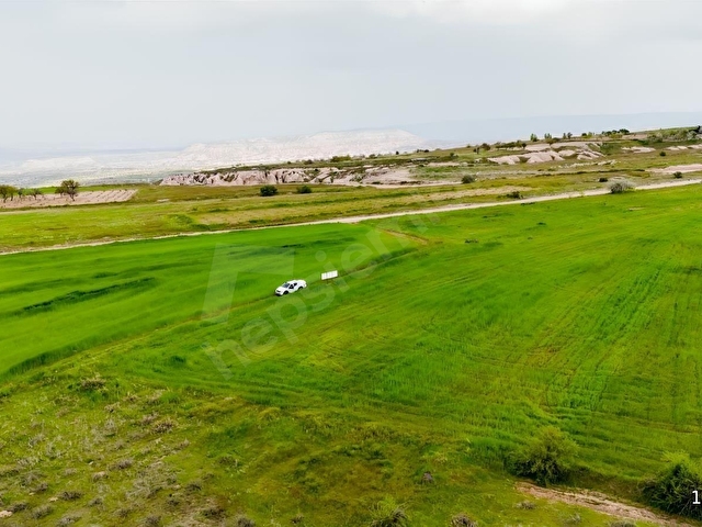 SERTOĞLU EMLAKTAN UÇHİSARDA SATILIK 1.300 m2 TARLA - Görsel 3