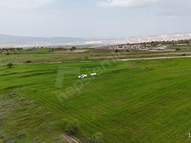 SERTOĞLU EMLAKTAN UÇHİSARDA SATILIK 1.300 m2 TARLA - Görsel 4