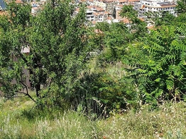 Amasya Gökmedrese Mahallesinde sahibinden imarlı  3 adet arsa - Görsel 12