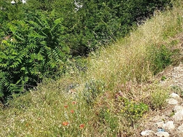 Amasya Gökmedrese Mahallesinde sahibinden imarlı  3 adet arsa - Görsel 13