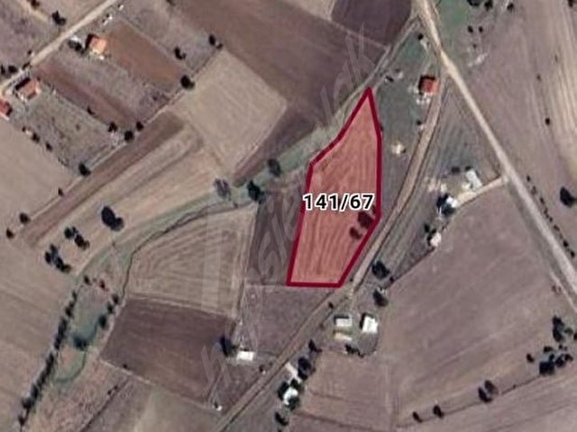 ODAKTAN ACİLLL !!! YENİCEDE TOPLAM 6790 M2 YOLA YAKIN TARLA - Görsel 5
