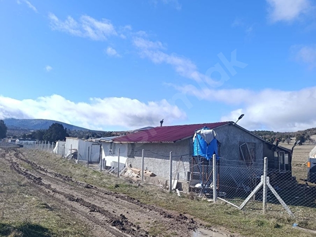 ODAKTAN ACİLLL !!! YENİCEDE TOPLAM 6790 M2 YOLA YAKIN TARLA - Görsel 9