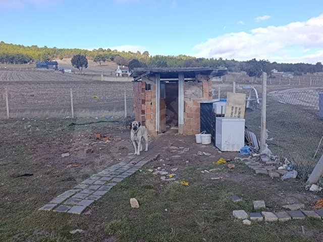 ODAKTAN ACİLLL !!! YENİCEDE TOPLAM 6790 M2 YOLA YAKIN TARLA - Görsel 8