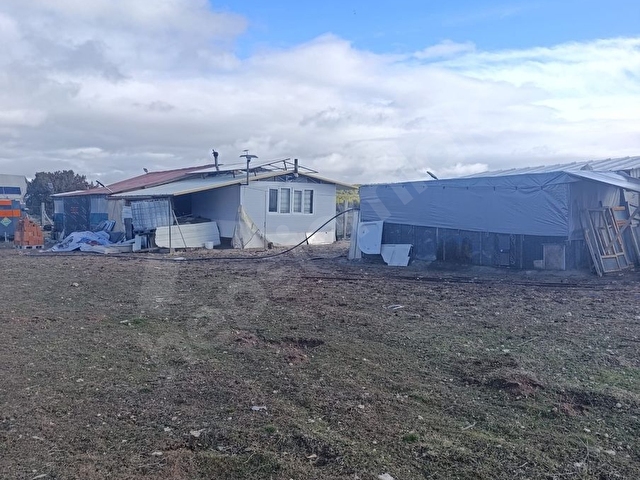 ODAKTAN ACİLLL !!! YENİCEDE TOPLAM 6790 M2 YOLA YAKIN TARLA