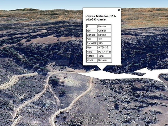 GÜLNAR KAYRAKTA YOLU OLAN YATIRIMLIK 9758 m2 TARLA ... - Görsel 10