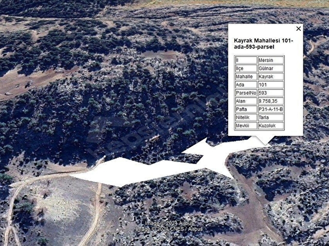 GÜLNAR KAYRAKTA YOLU OLAN YATIRIMLIK 9758 m2 TARLA ... - Görsel 11