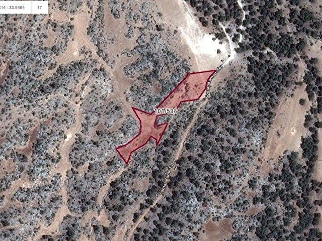 GÜLNAR KAYRAKTA YOLU OLAN YATIRIMLIK 9758 m2 TARLA ... - Görsel 2