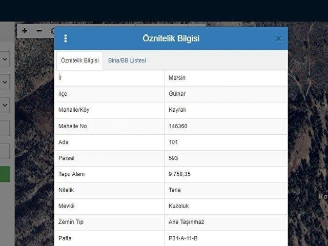 GÜLNAR KAYRAKTA YOLU OLAN YATIRIMLIK 9758 m2 TARLA ... - Görsel 13