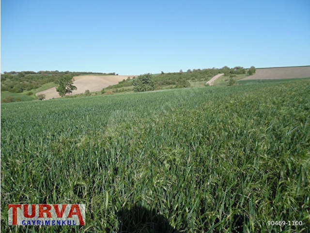 DEĞİRMENKÖYDE YATIRMLIK 12886 M2 TARLA - Görsel 11