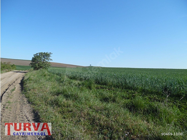 DEĞİRMENKÖYDE YATIRMLIK 12886 M2 TARLA - Görsel 6