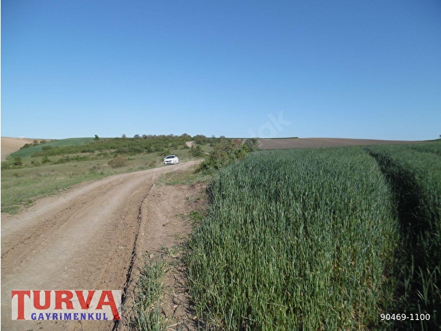 DEĞİRMENKÖYDE YATIRMLIK 12886 M2 TARLA - Görsel 2
