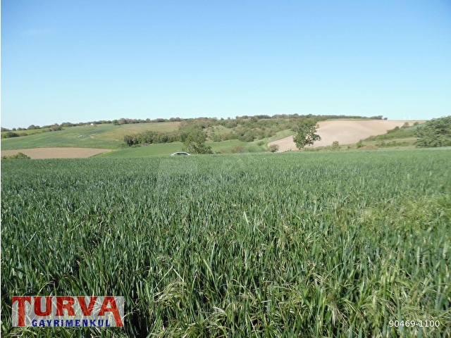 DEĞİRMENKÖYDE YATIRMLIK 12886 M2 TARLA - Görsel 12