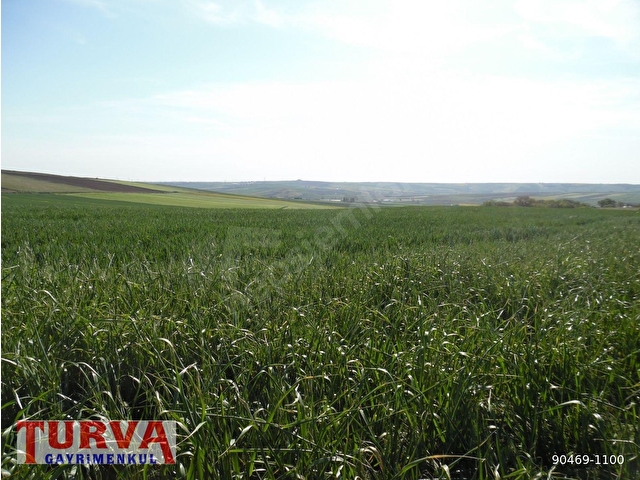 DEĞİRMENKÖYDE YATIRMLIK 12886 M2 TARLA - Görsel 10