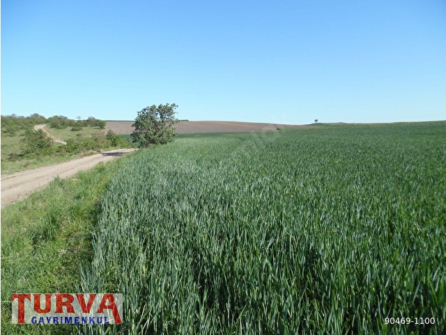 DEĞİRMENKÖYDE YATIRMLIK 12886 M2 TARLA - Görsel 7