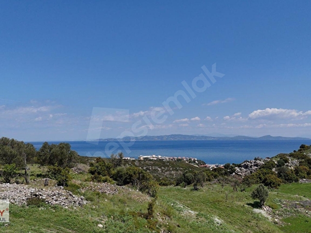 Hamdi Beyden SAİPTE DENİZ MANZARALI 4876 M2 RESMİ YOLU AÇIK - Görsel 11