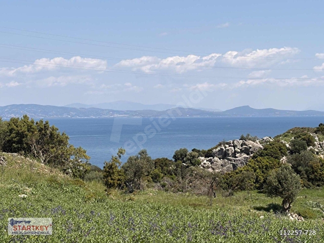 Hamdi Beyden SAİPTE DENİZ MANZARALI 4876 M2 RESMİ YOLU AÇIK - Görsel 18