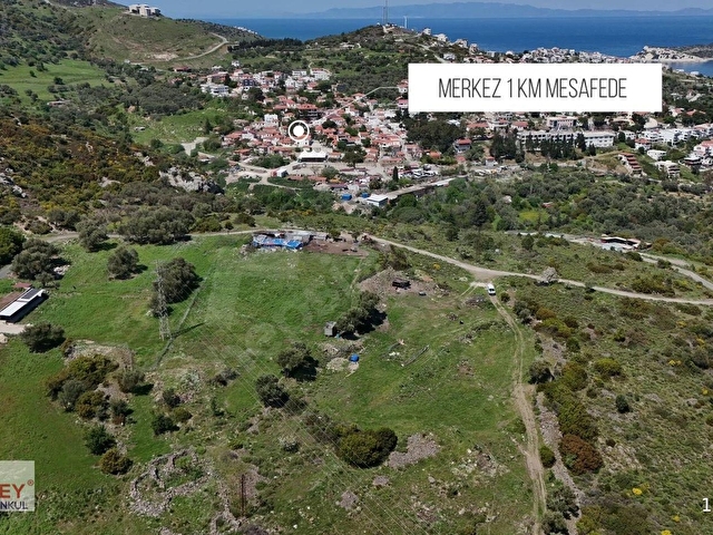 Hamdi Beyden SAİPTE DENİZ MANZARALI 4876 M2 RESMİ YOLU AÇIK - Görsel 8