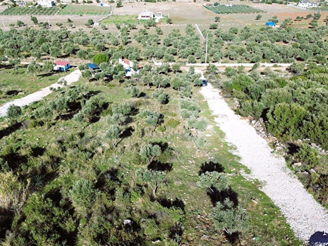 DİDİM AK-YENİKÖY ZÜMRÜTTEPEDE SATILIK 270M² KOOPERATİF ARAZİSİ - Görsel 5