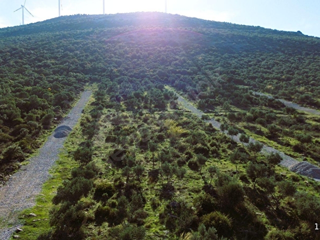 DİDİM AK-YENİKÖY ZÜMRÜTTEPEDE SATILIK 270M² KOOPERATİF ARAZİSİ - Görsel 2