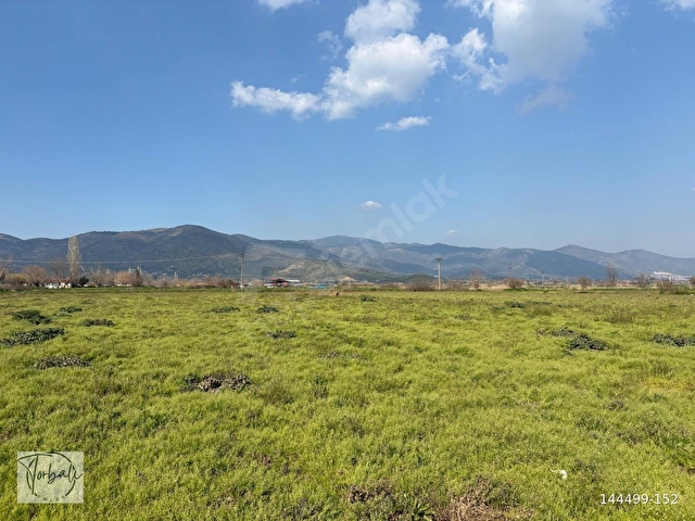 BAYINDIR ELİFLİDE %40 KONUT İMARLI MÜSTAKİL PARSEL , TEK TAPU 1288m2 ARSALAR SATILIKTIR - Görsel 5