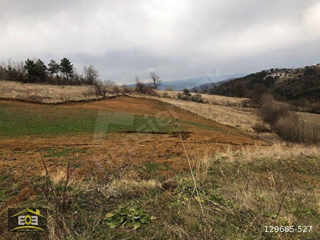 BURSA KESTEL ORHANİYE MAH. SATILIK 3.295 M2 TARLA HİSSESİ. - Görsel 4