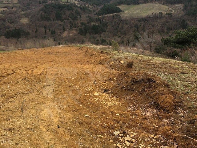 BURSA KESTEL ORHANİYE MAH. SATILIK 3.295 M2 TARLA HİSSESİ. - Görsel 10
