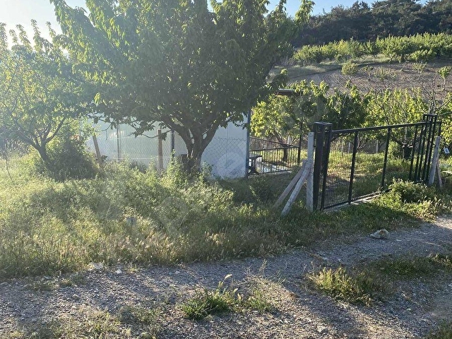 KEMALPAŞA DAMLACIK ERİCEK YAYLASI ACİL SATILIK BAHÇE - Görsel 28