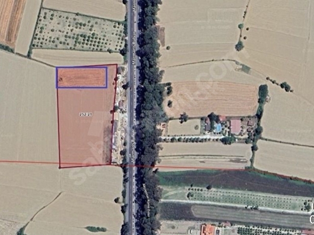 Gökova Yola Sıfır Üzerinde 25m2 Barakalı 2,5 Dönüm Hisseli Arsa - Görsel 3