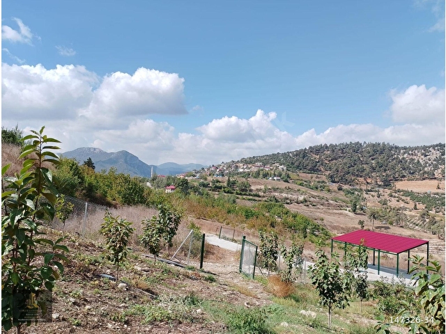 mersin Tarsus  kör menlik mahallesi satılık bahçe - Görsel 18
