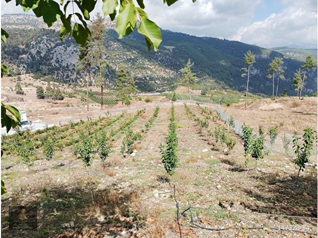 mersin Tarsus  kör menlik mahallesi satılık bahçe - Görsel 10