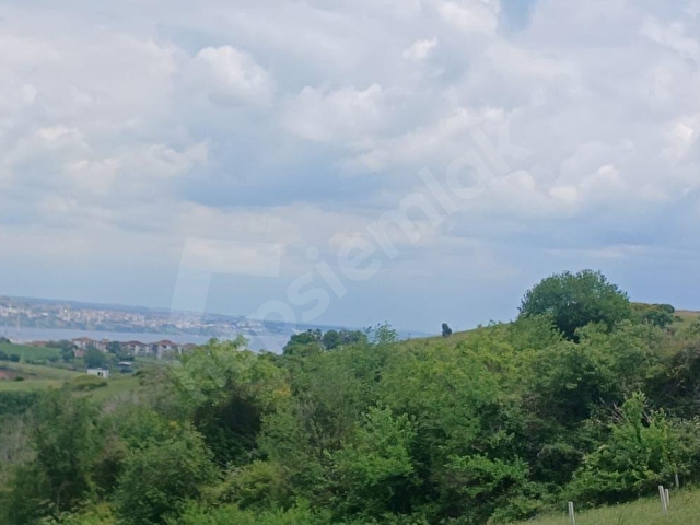 TOPAĞAÇTA EN UYGUN FİYATLI YATIRIM FIRSATI 480 M2 SATILIK ARSA - Görsel 24