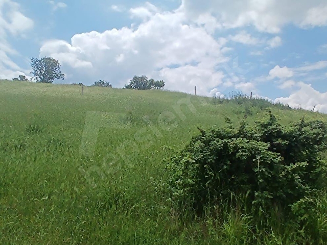 TOPAĞAÇTA EN UYGUN FİYATLI YATIRIM FIRSATI 480 M2 SATILIK ARSA - Görsel 11