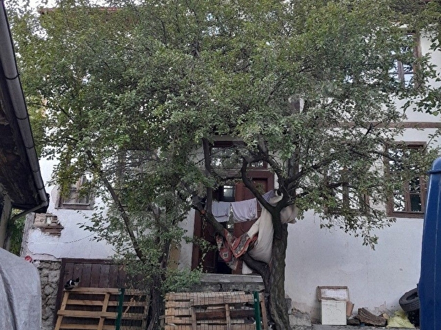 SATILIK KONAK