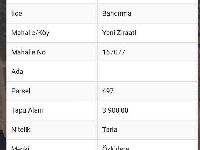 Yeni Ziraatli satılık 3.9 dönüm tarla - Görsel 10