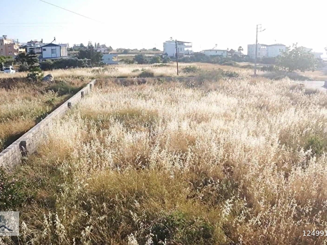 Denize Sadece 100 metre mesafede Fırsat arsa - Görsel 5