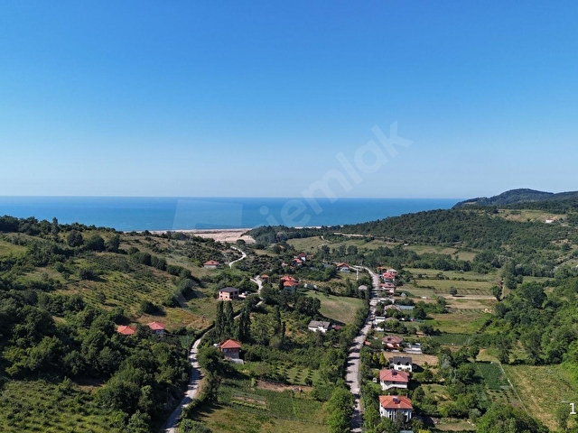 BARTIN MERKEZ KÜÇÜK KIZILKUM 15.300M2 SATILIK FIRSAT ARSA - Görsel 5