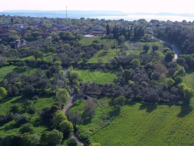 Lapseki Kangırlıda Boğaz Manzaralı & Köy Dibinde 1.539 m2 Tarla - Görsel 12
