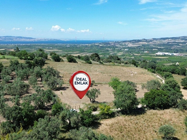 Lapseki Kangırlıda Boğaz Manzaralı & Köy Dibinde 1.539 m2 Tarla - Görsel 18