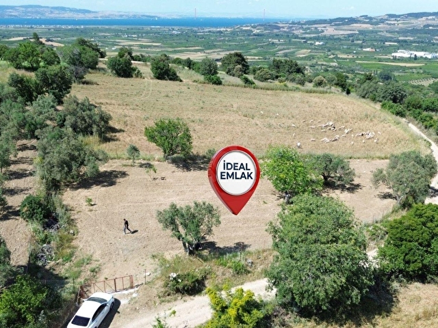 Lapseki Kangırlıda Boğaz Manzaralı & Köy Dibinde 1.539 m2 Tarla - Görsel 21
